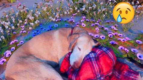 Finding Solace in Virtual Reality : A Man's Journey to Create a Digital