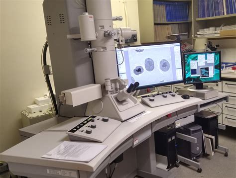 Electron Microscopy Facility Durham University