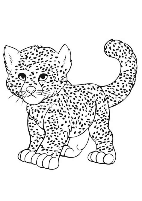 Coloring Pages Baby Cheetah Playing Coloring Pages