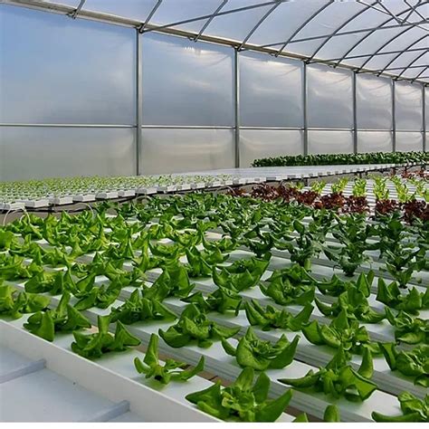 Supply Complete Horizontal Hydroponic System Wholesale Factory