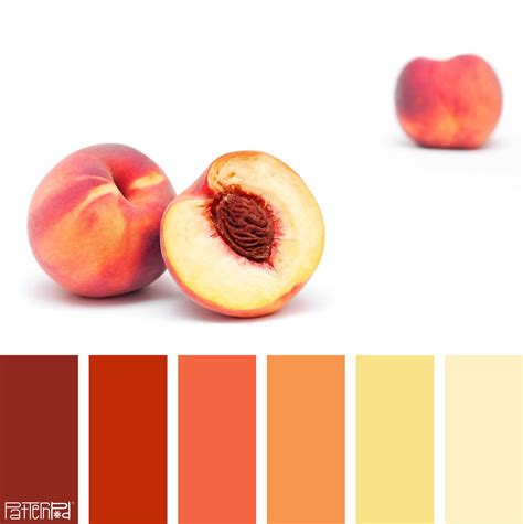 Patternpod Peach Color Palettes Peach Color Schemes Peach Paint Colors