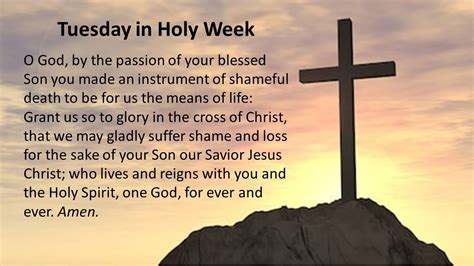 Reflection For Tuesday In Holy Week Youtube