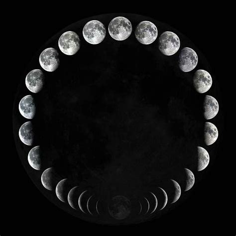Search Results for “Black And White Tumblr Moon Phases” – Calendar 2015