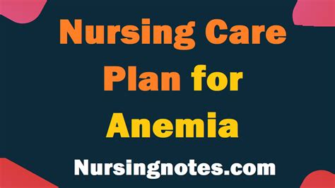 Nursing Care Plan For Anemia Assessment Diagnosis Interventions And