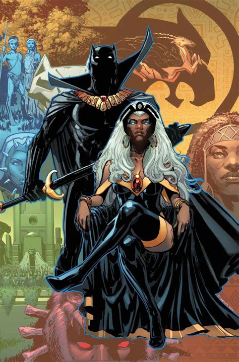 Black Panther King Tchalla And Storm Ororo Munroe Black Panther