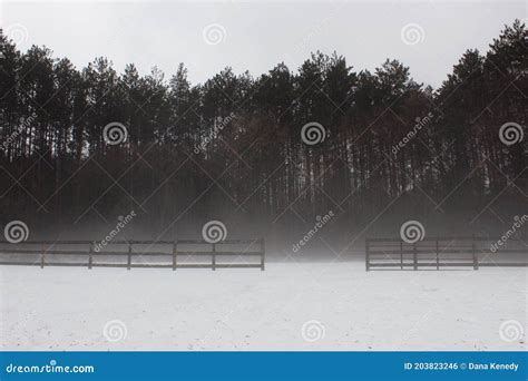 A Fence In The Mist In A Field And In Front Of A Forest Stock Photo