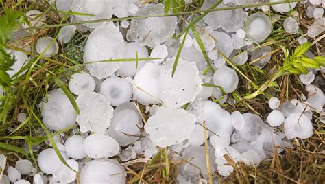 Damage From Georgetown Tx May 2020 Hail Storm