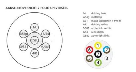 Verlichting van de aanhanger aansluiten is voor velen een. 7 polige stekker Aspock, type vlakstekker ...