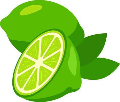 Lime Clipart Free Download Transparent Png Creazilla