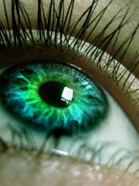 237 best images about the eyes have it on pinterest eyes photos photographs and green eyes