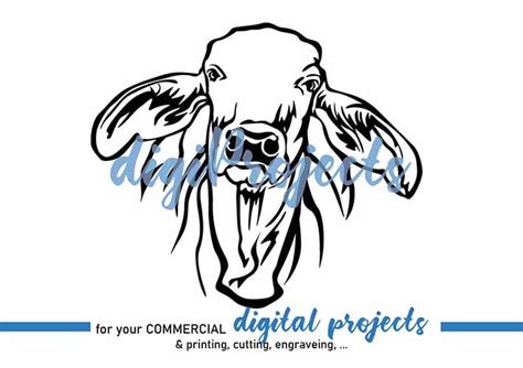 Brahman Cow Svg Digital Design Vector Graphic Art Farm Animal Etsy