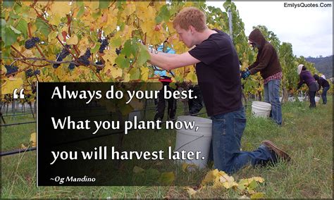 Always Do Your Best What You Plant Now You Will Harvest Later