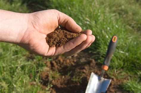 How to Take a Soil Sample - CFC Farm & Home