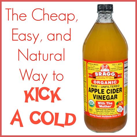 Stay Healthy With Apple Cider Vinegar How To Stay Healthy Natural