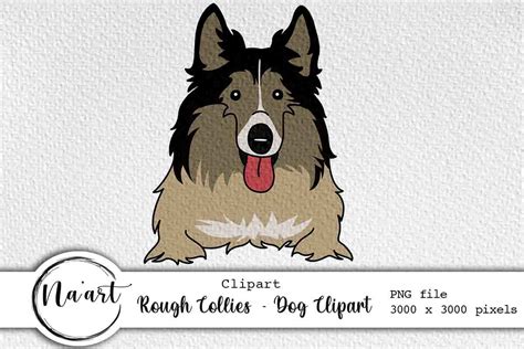 Rough Collies Dog Clipart Graphic By Naart · Creative Fabrica