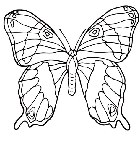 Disegni Farfalle Da Stampare E Colorare