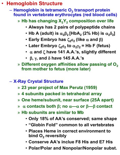 Hemoglobin Structure