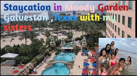 Moody gardens is a unique attraction in galveston that offers plenty of things to see and do that just about any traveler will enjoy. MOODY GARDENS FUN STAYCATION || GALVESTON TEXAS WITH MY ...