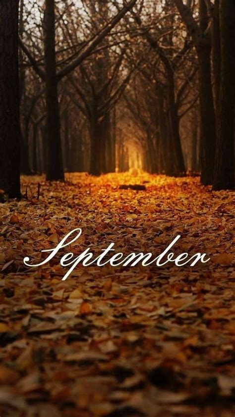 Pin By Mercy Salazar On Months November Wallpaper Hello September