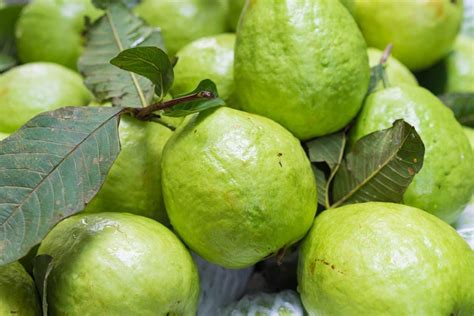 What Does Guava Taste Like Definitive Guide Medmunch