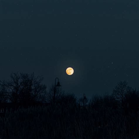 Moon Full Moon Starry Sky 2780x2780