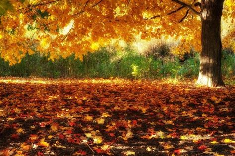 Fall Scenery Wallpapers ·① Wallpapertag
