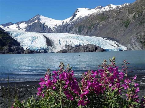 How To Book Your Tour Alaskan Tour Guides