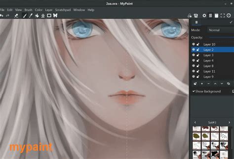 Best Anime And Manga Drawing Software In 2023 Techwaltz