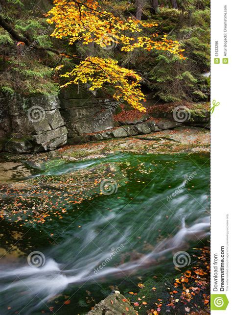 Stream In Autumn Scenery Stock Photo Image 61633296