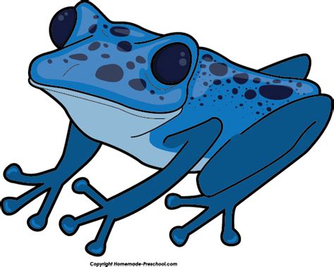Poison Dart Frog Clipart Clipground