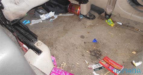 Hatta nyamuk pun tak ada. Cara Mudah Nak Hapuskan Lipas Dalam Kereta - IMPIANA