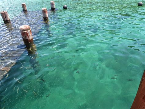 Berbeza dengan pulau sapi, pulau manukan menyediakan pelbagai kemudahan yang bakal melengkapkan percutian anda seperti wujudnya resort menarik. Tertunailah Hasrat Di Hati: Pulau Manukan Sabah (Part 2)