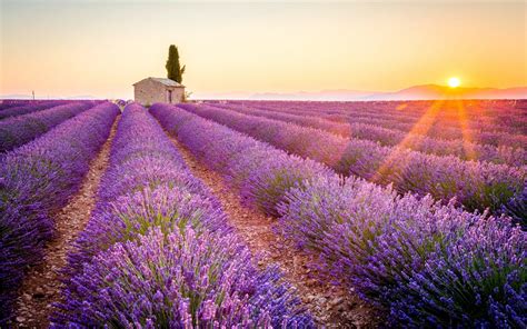 Provence Wallpapers Top Free Provence Backgrounds Wallpaperaccess