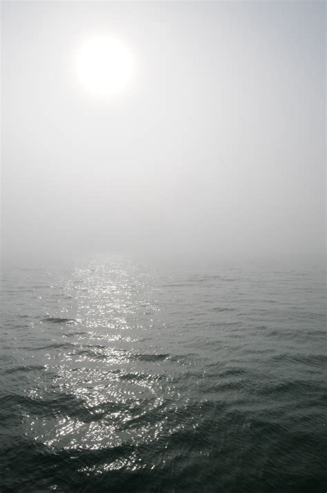 Capt Brians Observations On The Water Heavy Sea Fog