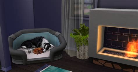 Enuresims Ts3 To Ts4 Cats And Dogs Accessories Dopecherryblossomheart
