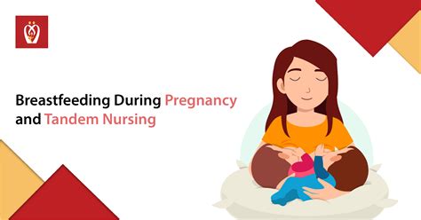 Breastfeeding During Pregnancy And Tandem Nursing Nurturey Blog
