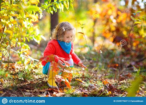 Kids Play In Autumn Park Children In Fall Forest Stock Image Image
