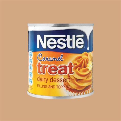 Nestle Treat Caramel 360g
