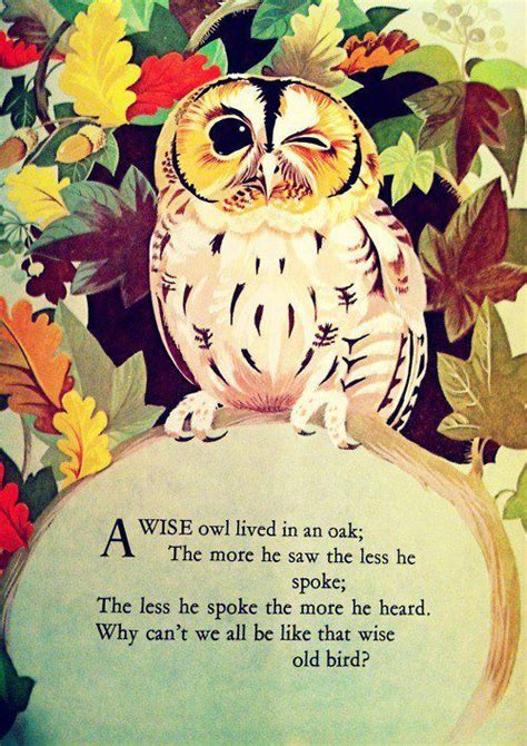 Love Owl Quotes Quotesgram