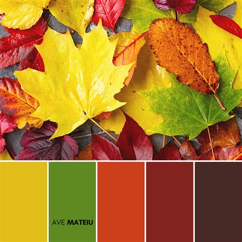 20 Fall/Autumn Color Palettes with Pantone and Hex Codes + Free Colors