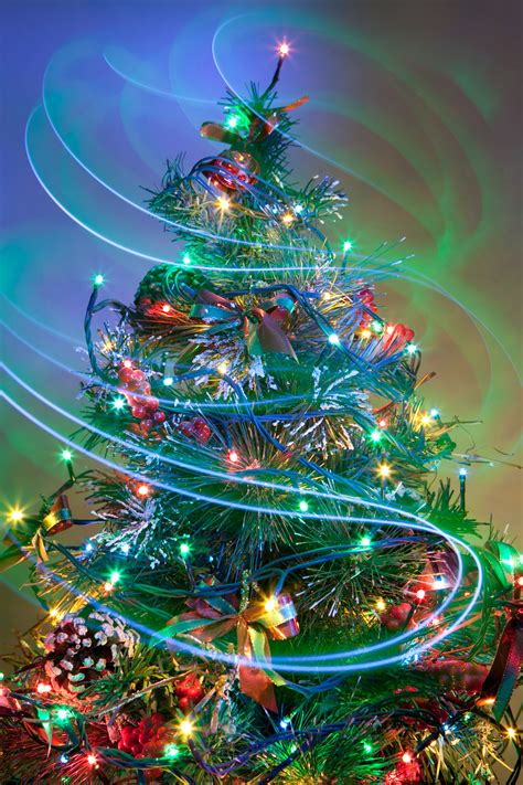 Tis The Season For Christmas Tree Lightings