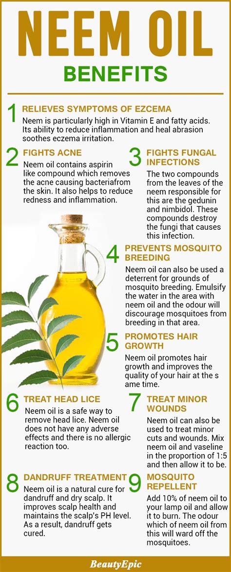 This neem powder is 100% organic, it is very effective and natural. Top 50 Mind Blowing Neem Oil Benefits and Uses - Why You ...