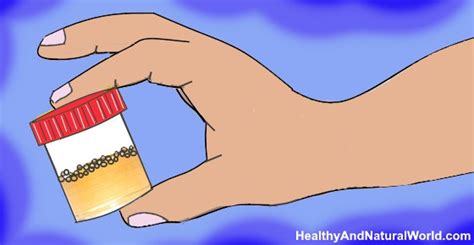 Foamy Urine Heres Why You Have Bubbles In Your Urine