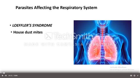 Para Respiratory The Only Lecture Youtube