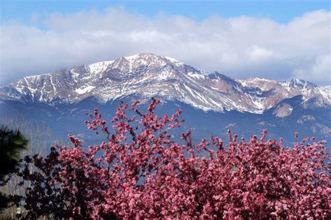 Discover what it would be like to live in the central colorado springs neighborhood of colorado springs, co straight from people who live here. Colorado ManREACH » Spring in the Springs! Potluck & Heart ...