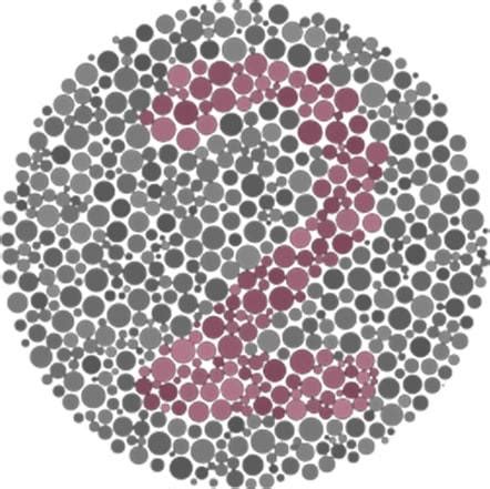 Click here to be taken to the survey. Technology - How Do Color Blind Glasses Work? - EnChroma ...