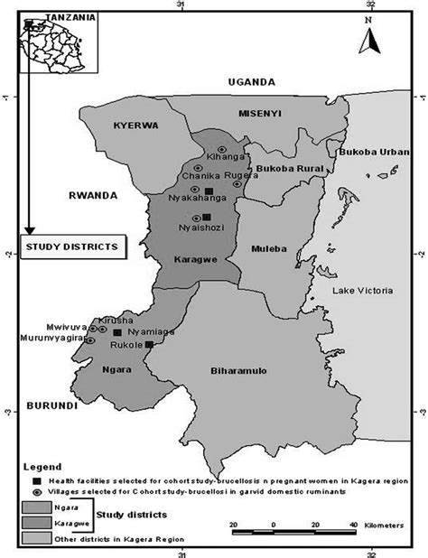Map Showing The Origin Of The Samples Used In This Study Kagera Region