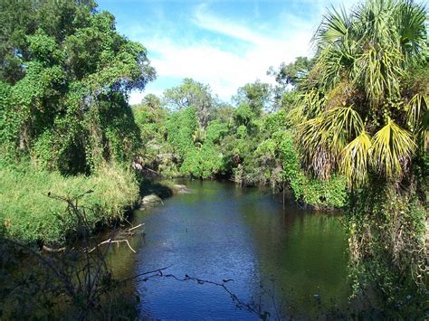 Little Manatee River State Park Wimauma All You Need To Know Before