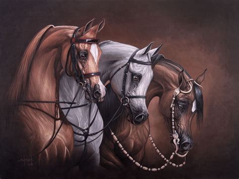 11x14 Giclee English Hunter Western Arabian Horse Art Print Shivak