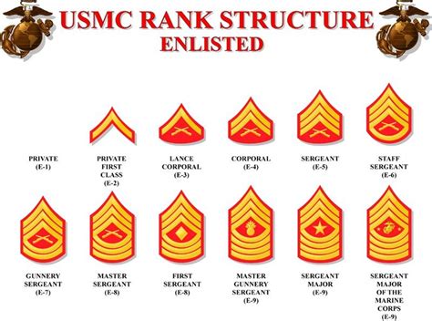 Military Ranks E1 E9 Marine Corps Diagram Quizlet